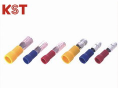 ��Ե����������