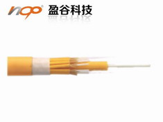 ���ڹ���