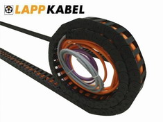 ���Ƶ�������������